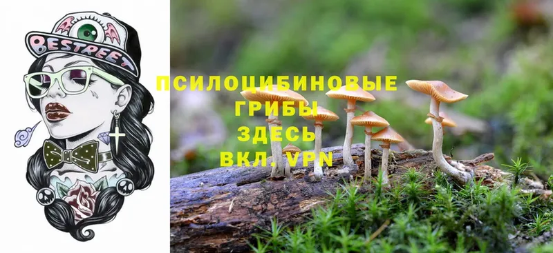 Галлюциногенные грибы Magic Shrooms  купить наркоту  Бакал 